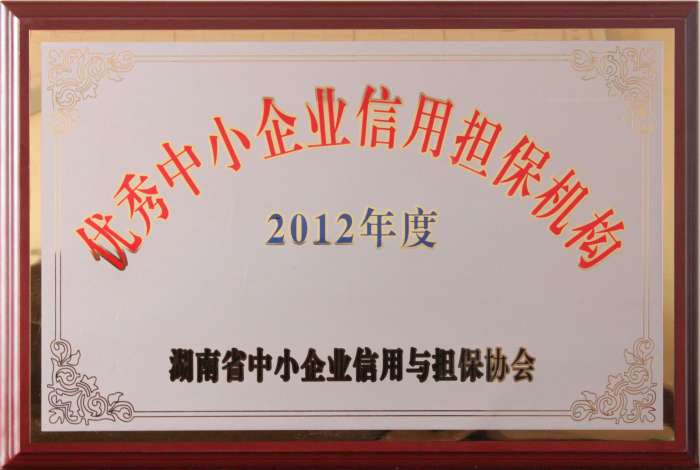 2012年度优秀中小企业信用担保机构.JPG