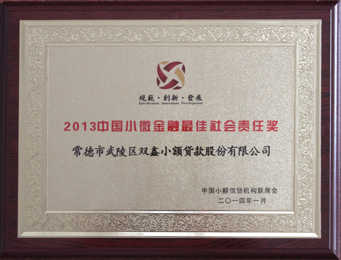 2013中国小微金融最佳社会责任奖 